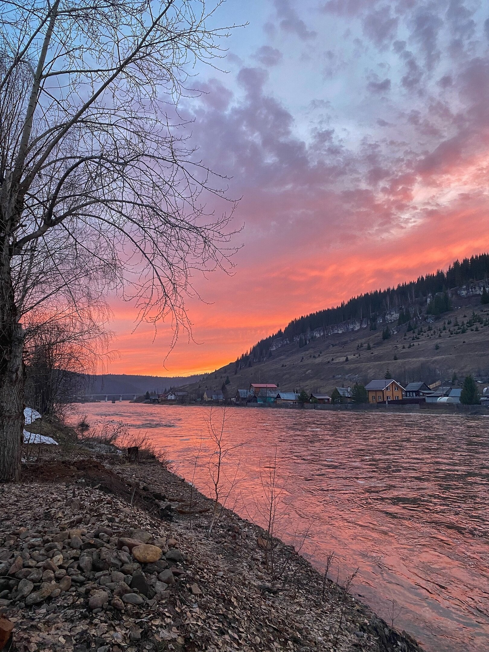 Фото Большая медведица