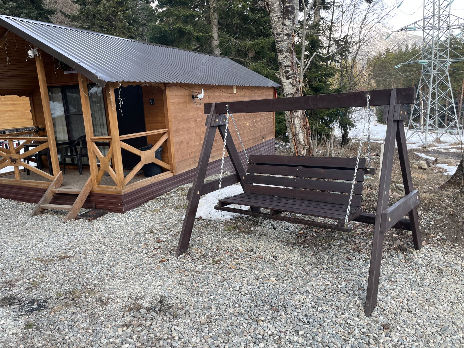 Фото Дикая Лошадь