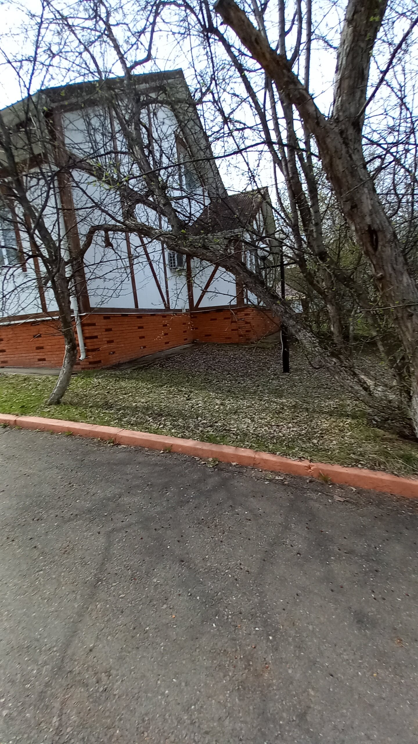 Фото Снежная долина