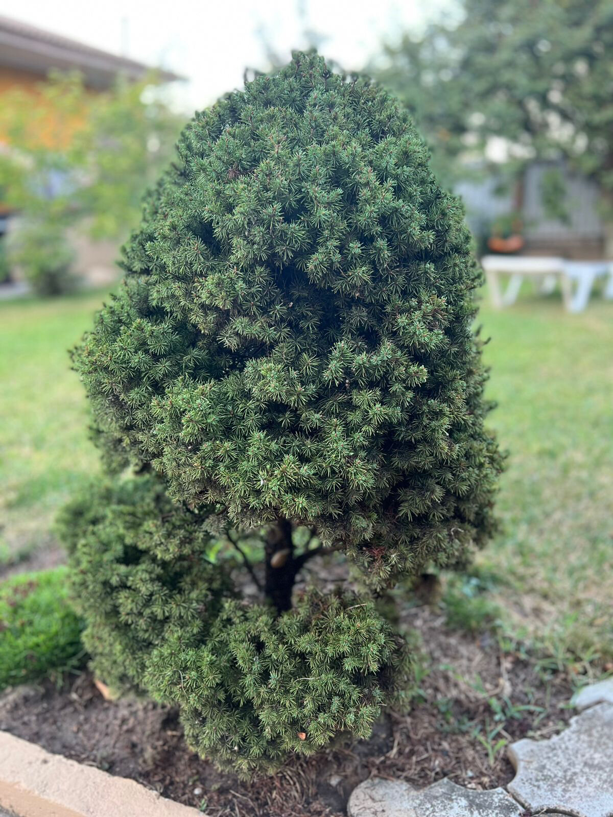 Фото Вилла Гармония