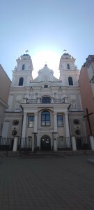 Кафедральный собор Пресвятой Девы Марии (площадь Свободы, 9, Минск), католический храм в Минске