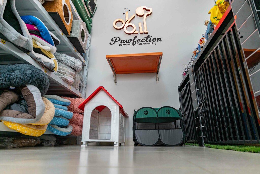 Pet salon Pawfection Domestic Pets Grooming, Dubai, photo