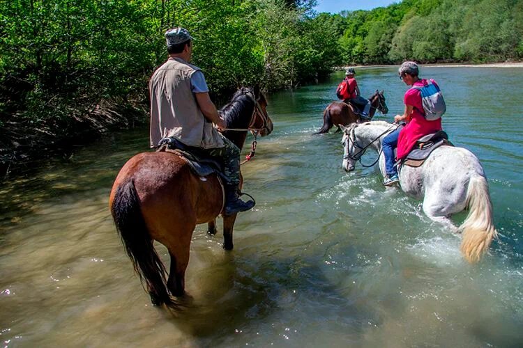 Фото Breath Ocean