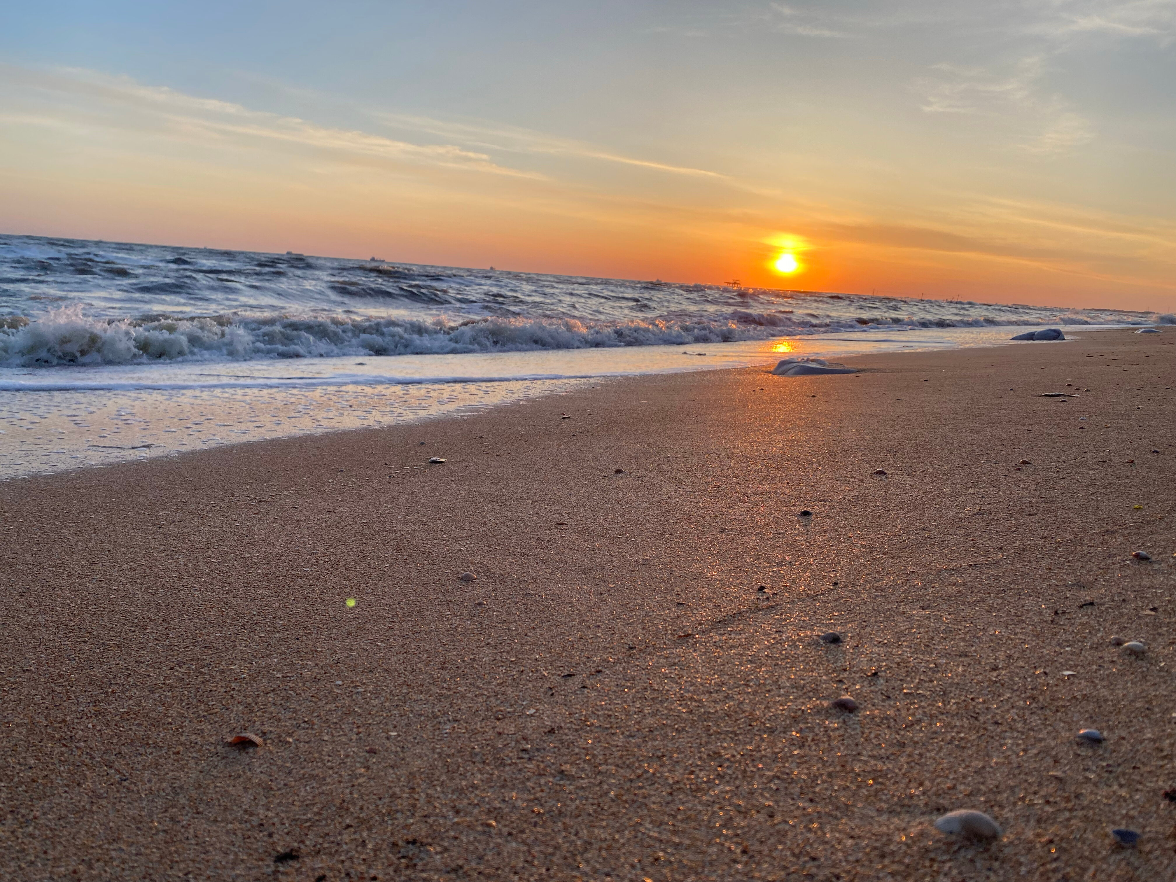 Фото Добрый хозяин