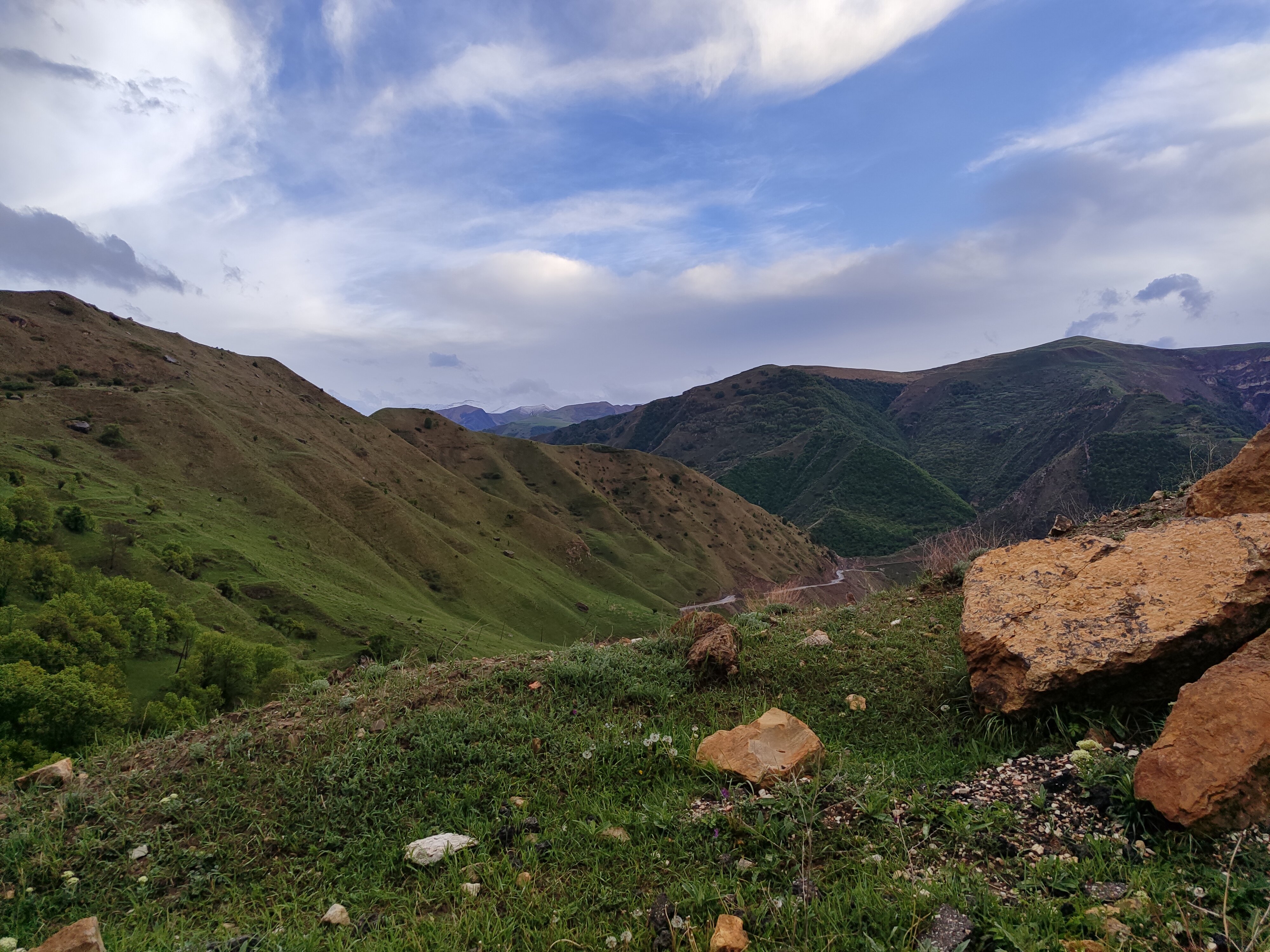 Фото Пение птиц