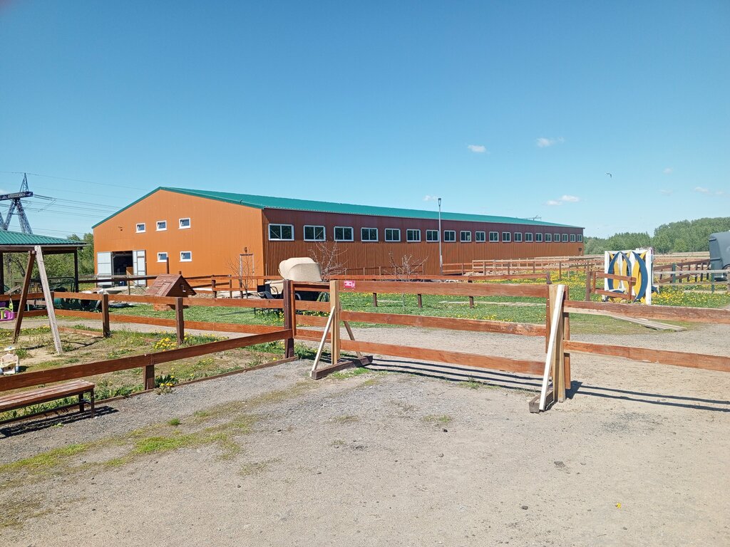 Horse riding Khovrino, Moscow and Moscow Oblast, photo