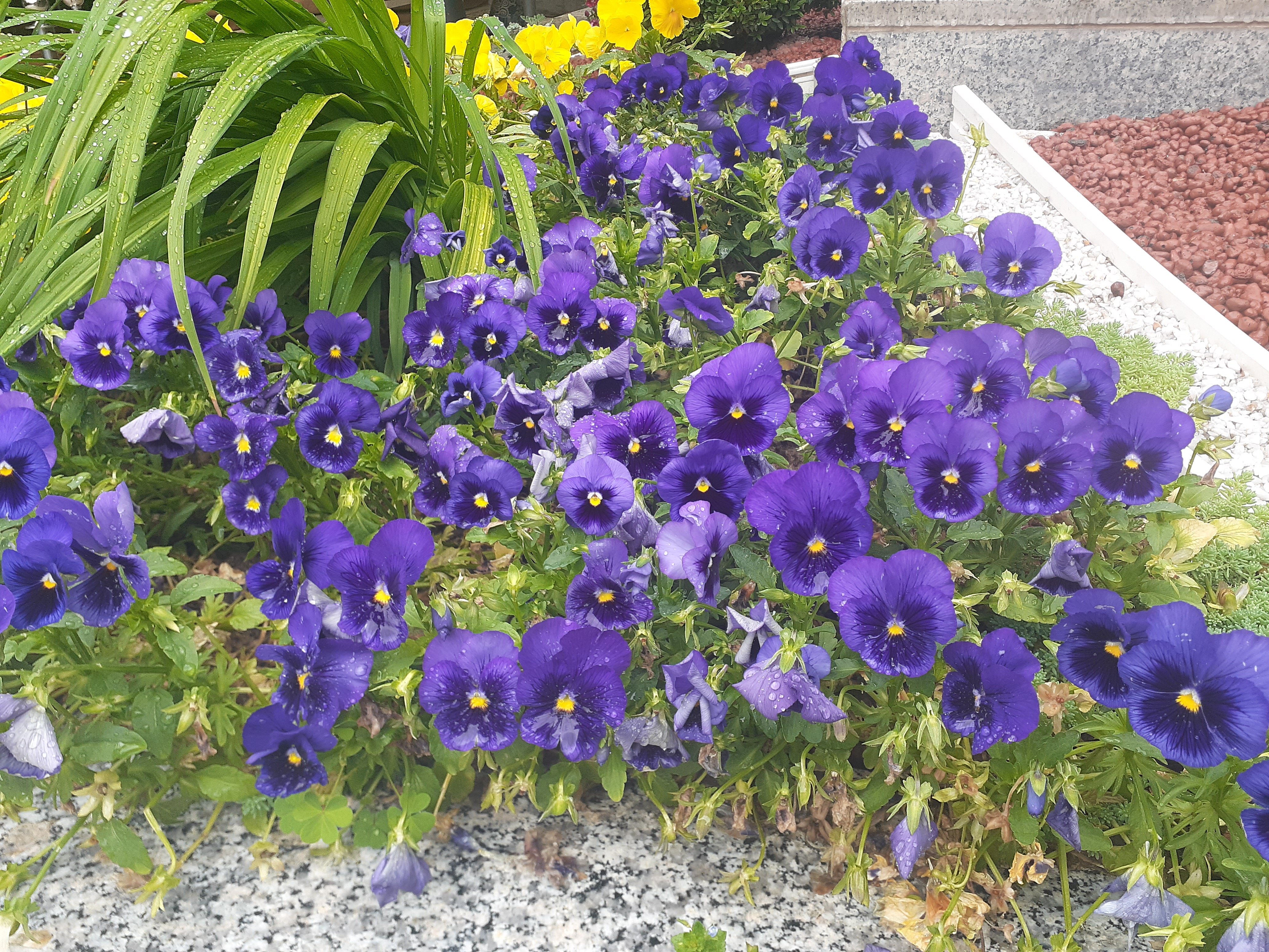 Фото Azimut Grand Hotel Tashkent