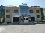 Aktau Promotion (2-shi shaǵyn aýdan, 34/1), agencia de publicidad