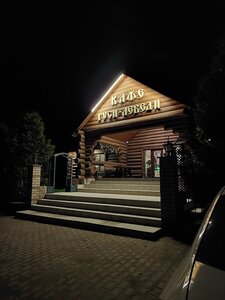 Гуси-лебеди (posyolok Stabna, Tsentralnaya ulitsa, 26), cafetería