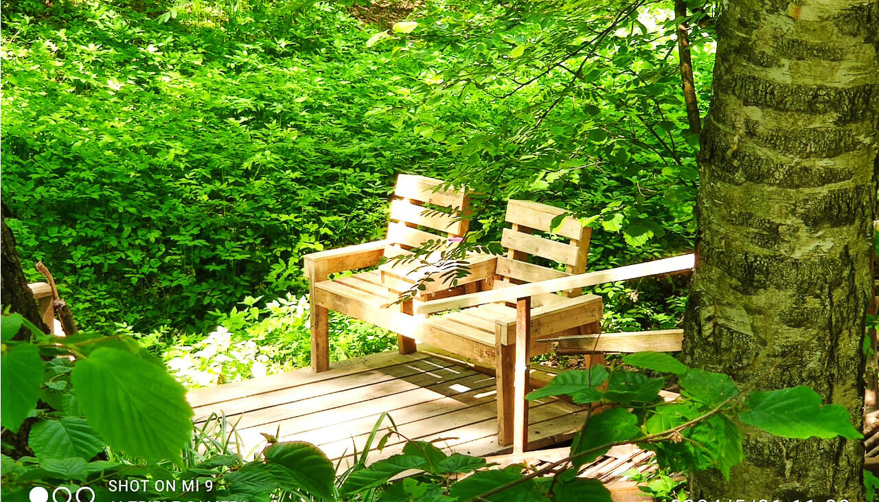 Фото Ореховая роща