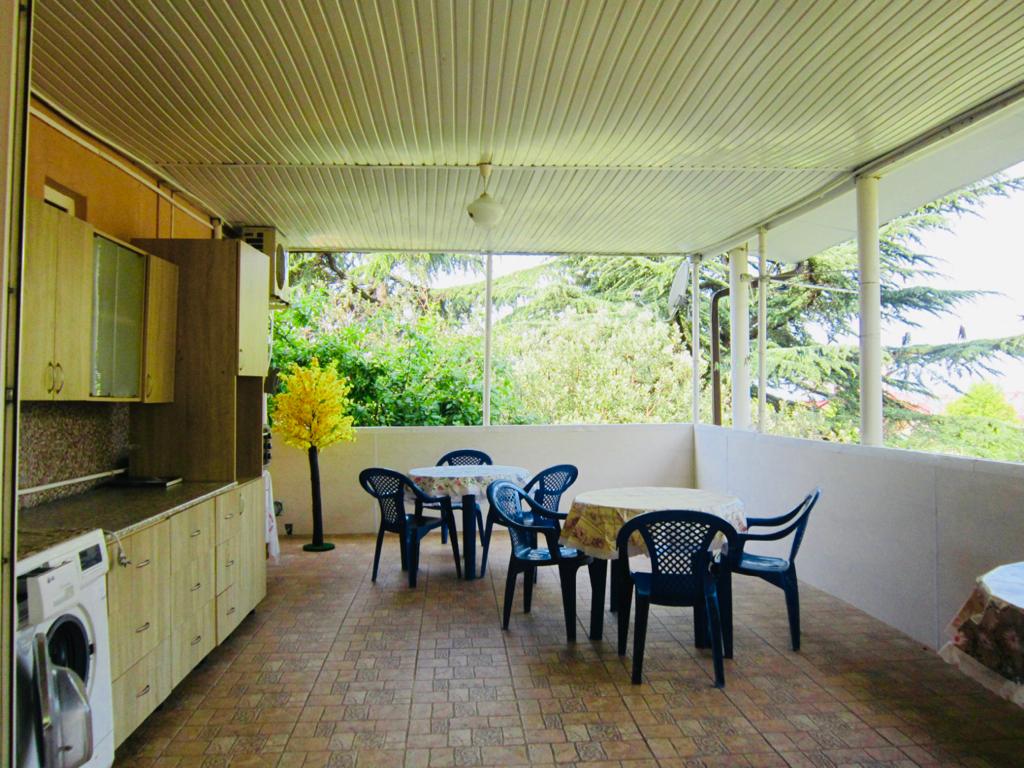 Фото Виолетта