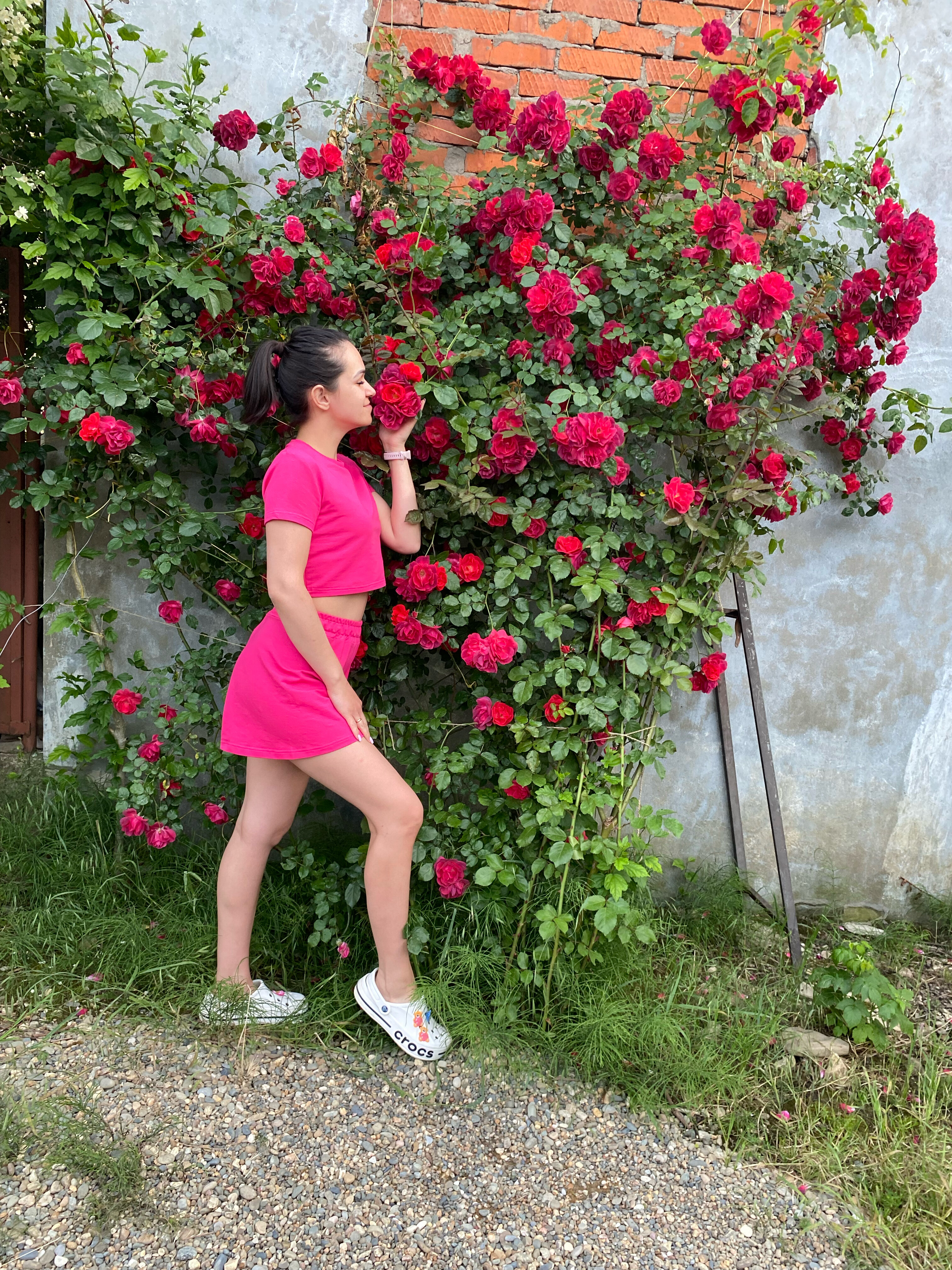 Фото Александрийский дворик