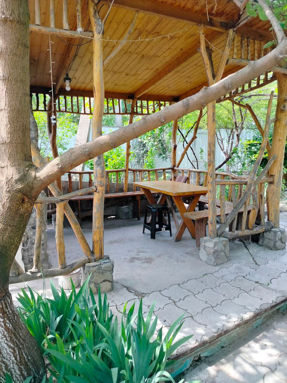 Фото Берёзка