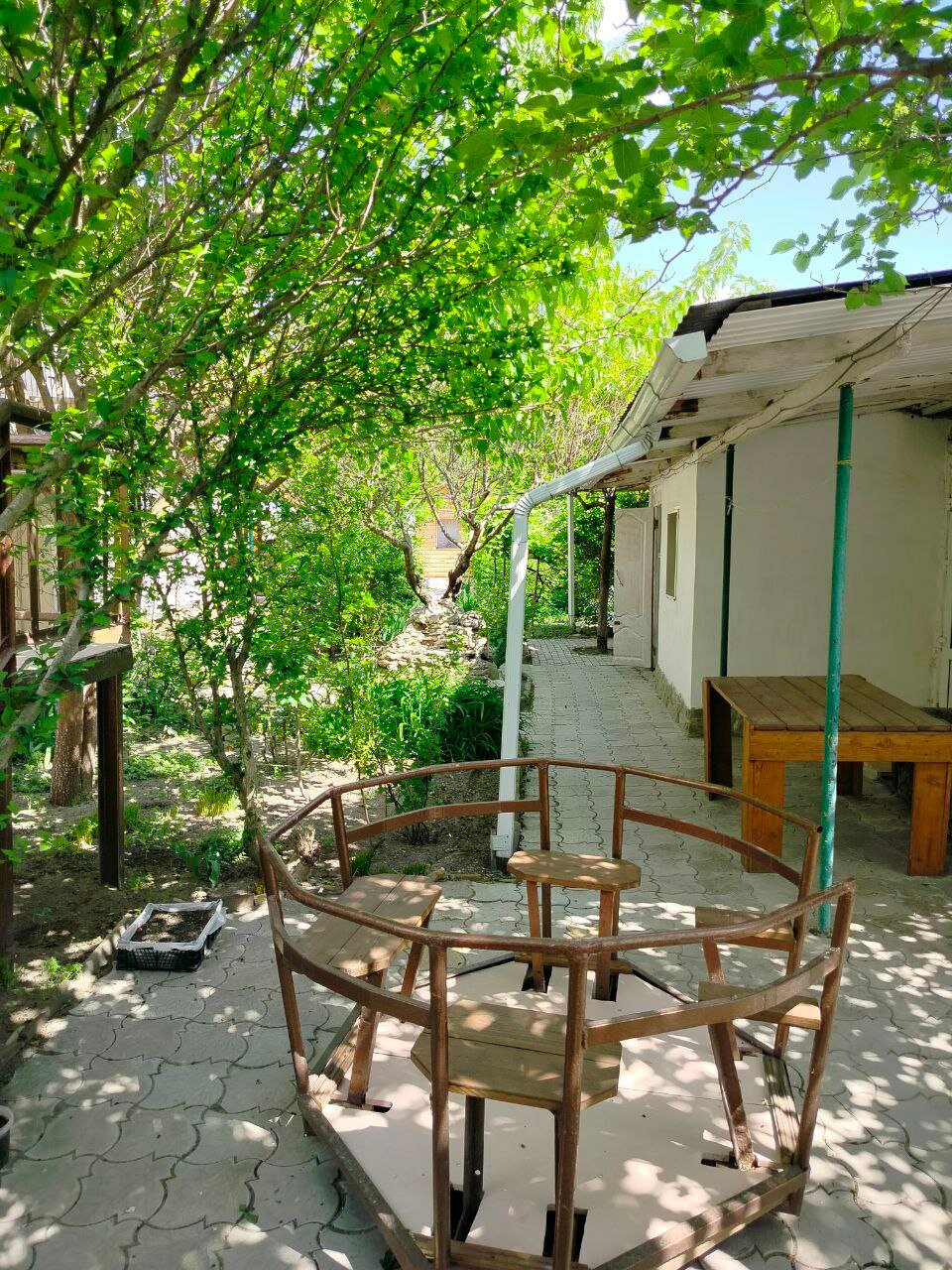 Фото Берёзка