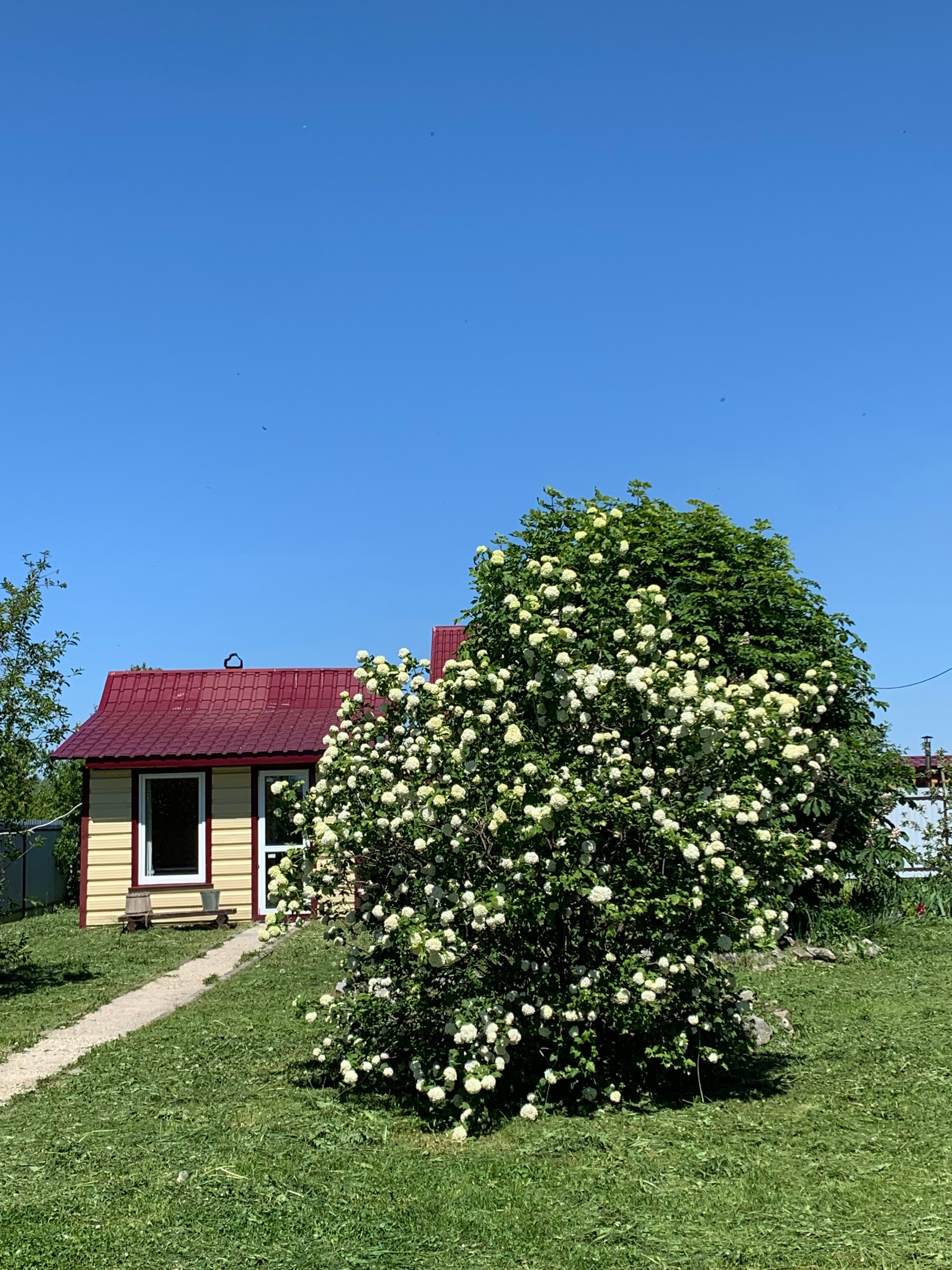Фото Три дома у парома
