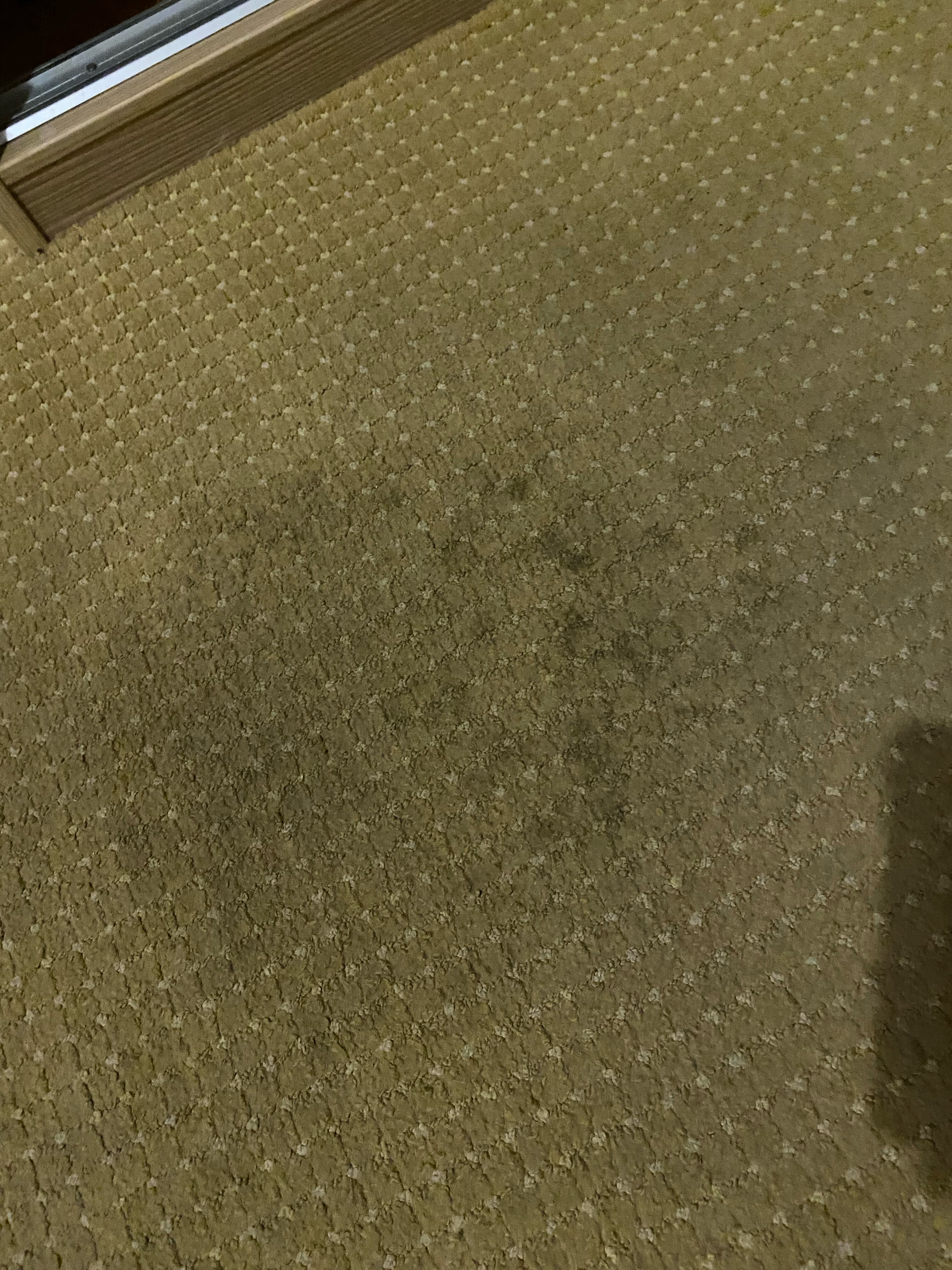 Фото Николаевский