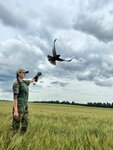 Центр охраны хищных птиц и развития соколиной охоты Русский сокол (Tambov Region, Michurinsk) ، عيادة بيطرية