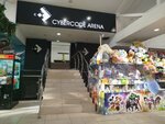 Cybarcode Arena (gorodskoy okrug Volgograd, Traktorozavodskiy City Administrative District, Dzerzhinskogo Square, 1Б), entertainment center