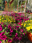 Садовая точка (DNP Mozhayskoye More, 1вл1), gardening shop
