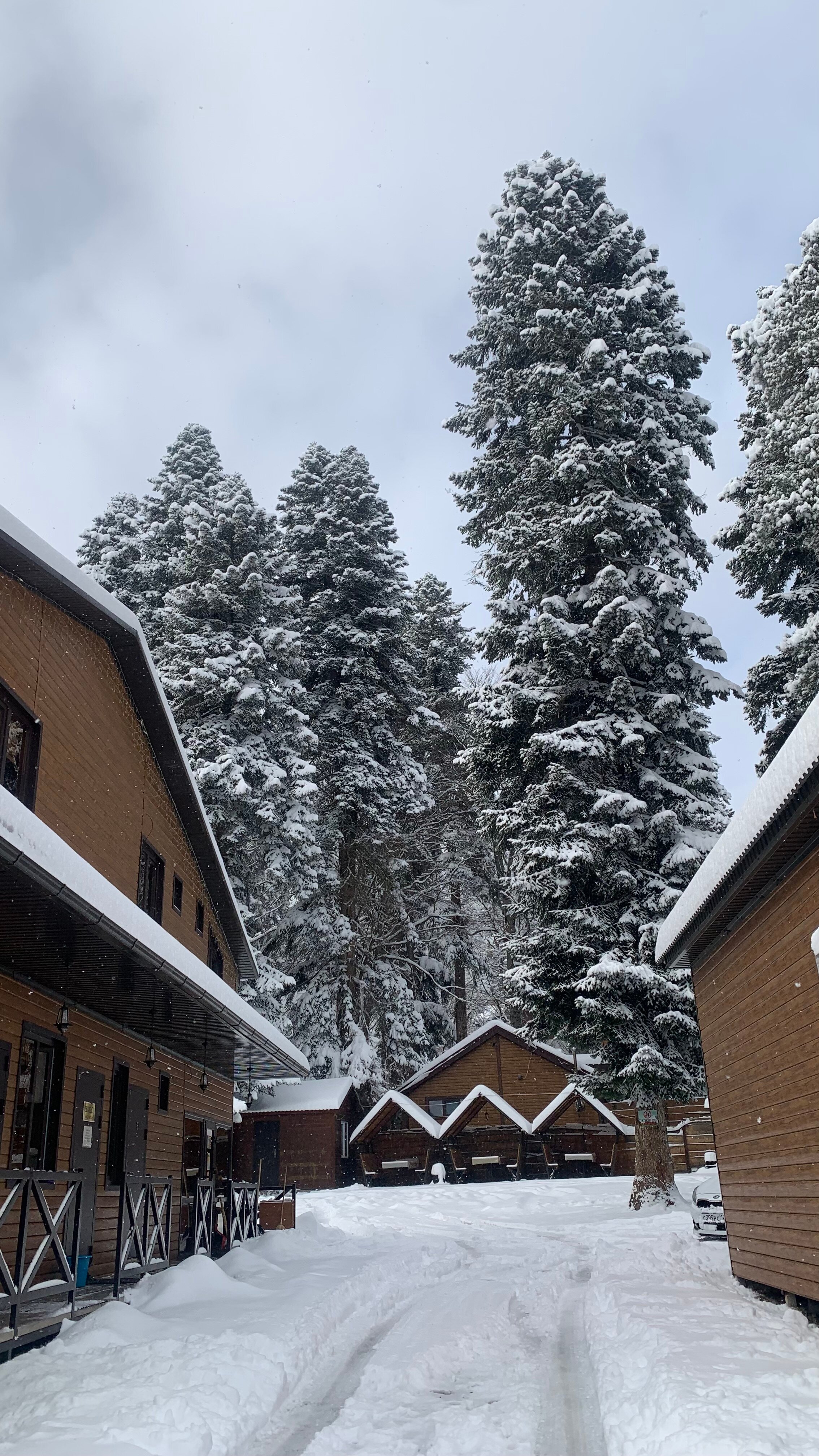 Фото КЪарча