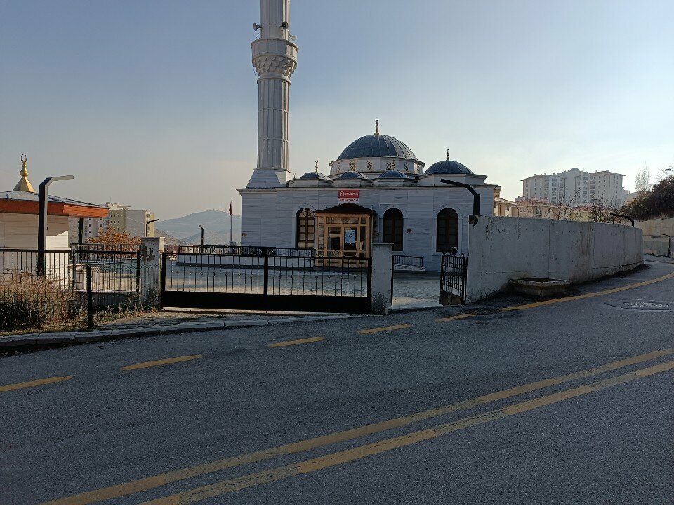 Мечеть Abdulhamit Han Mosque, Анкара, фото
