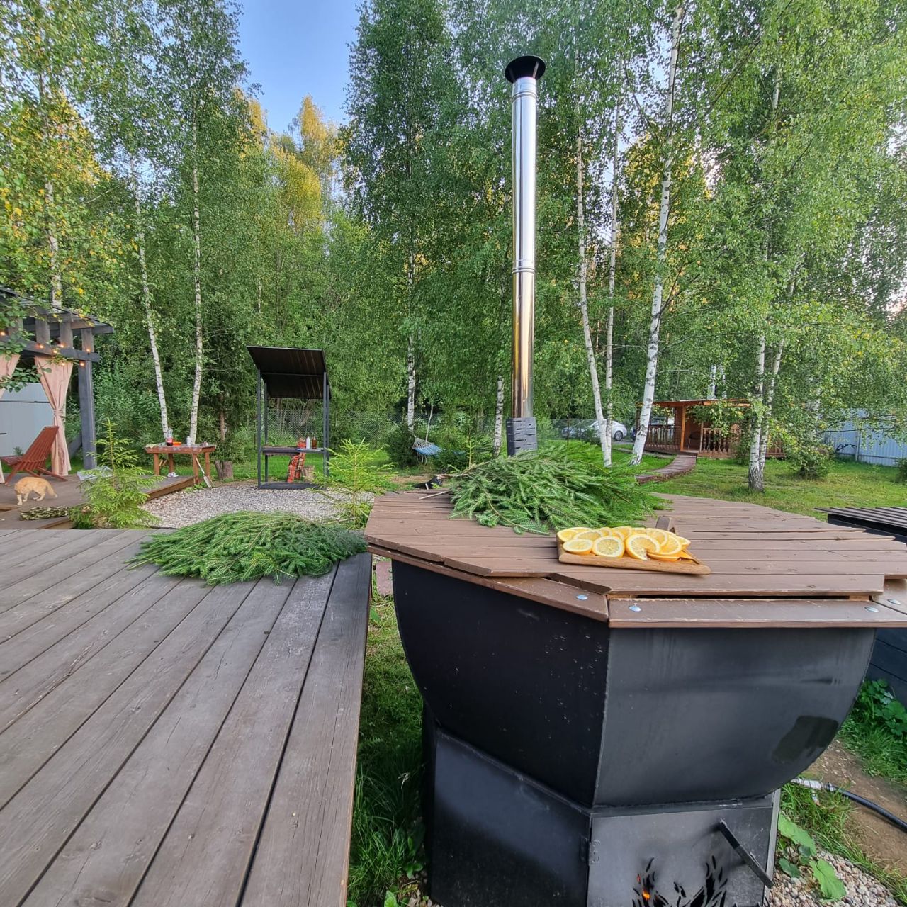 Фото Хайд Форест