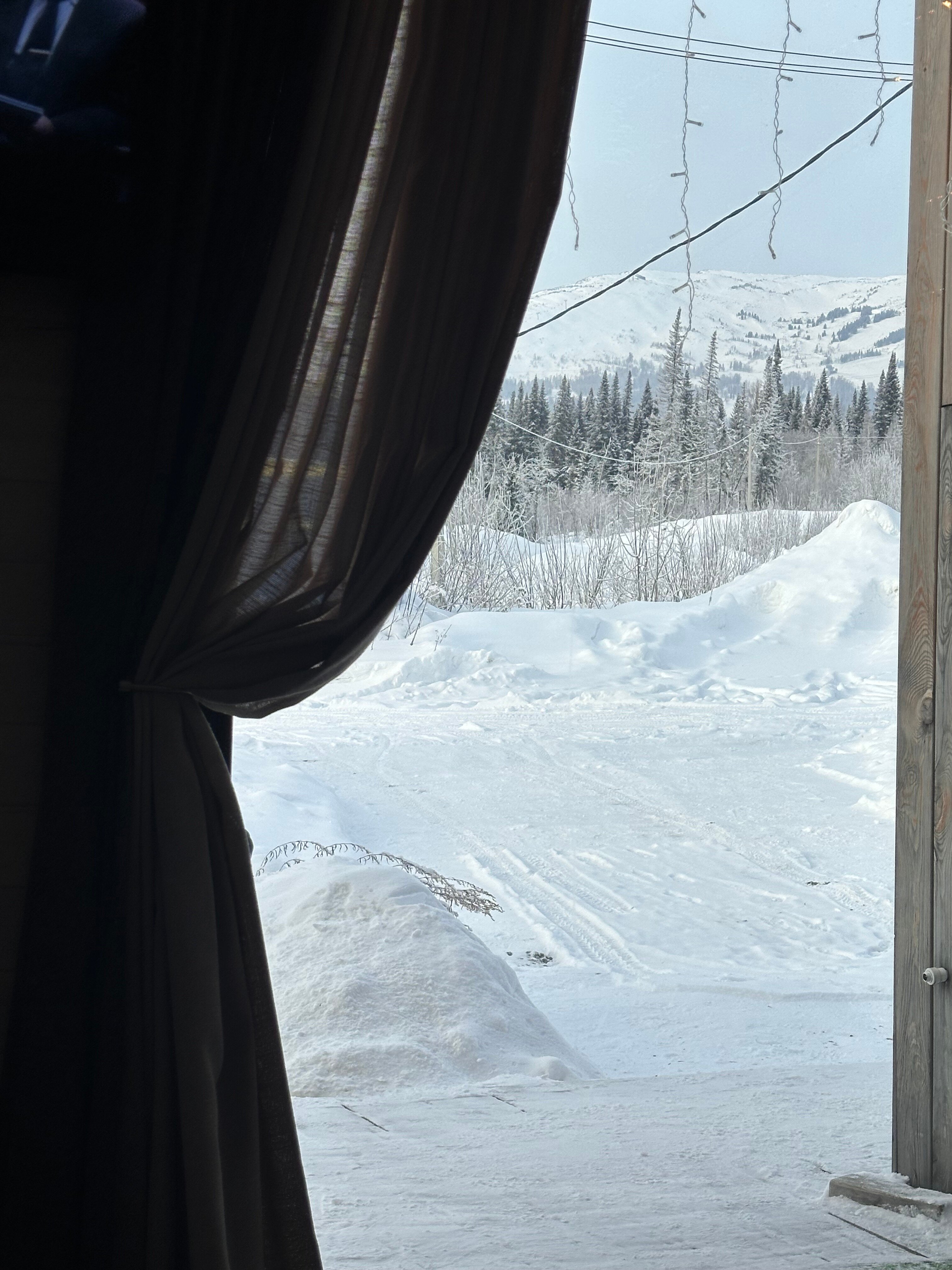 Фото Svekla project