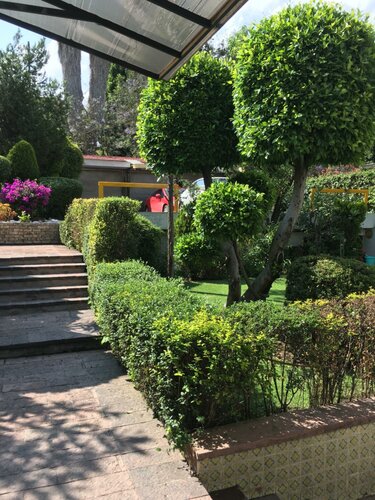 Гостиница Grupo Kings Suites Duraznos  