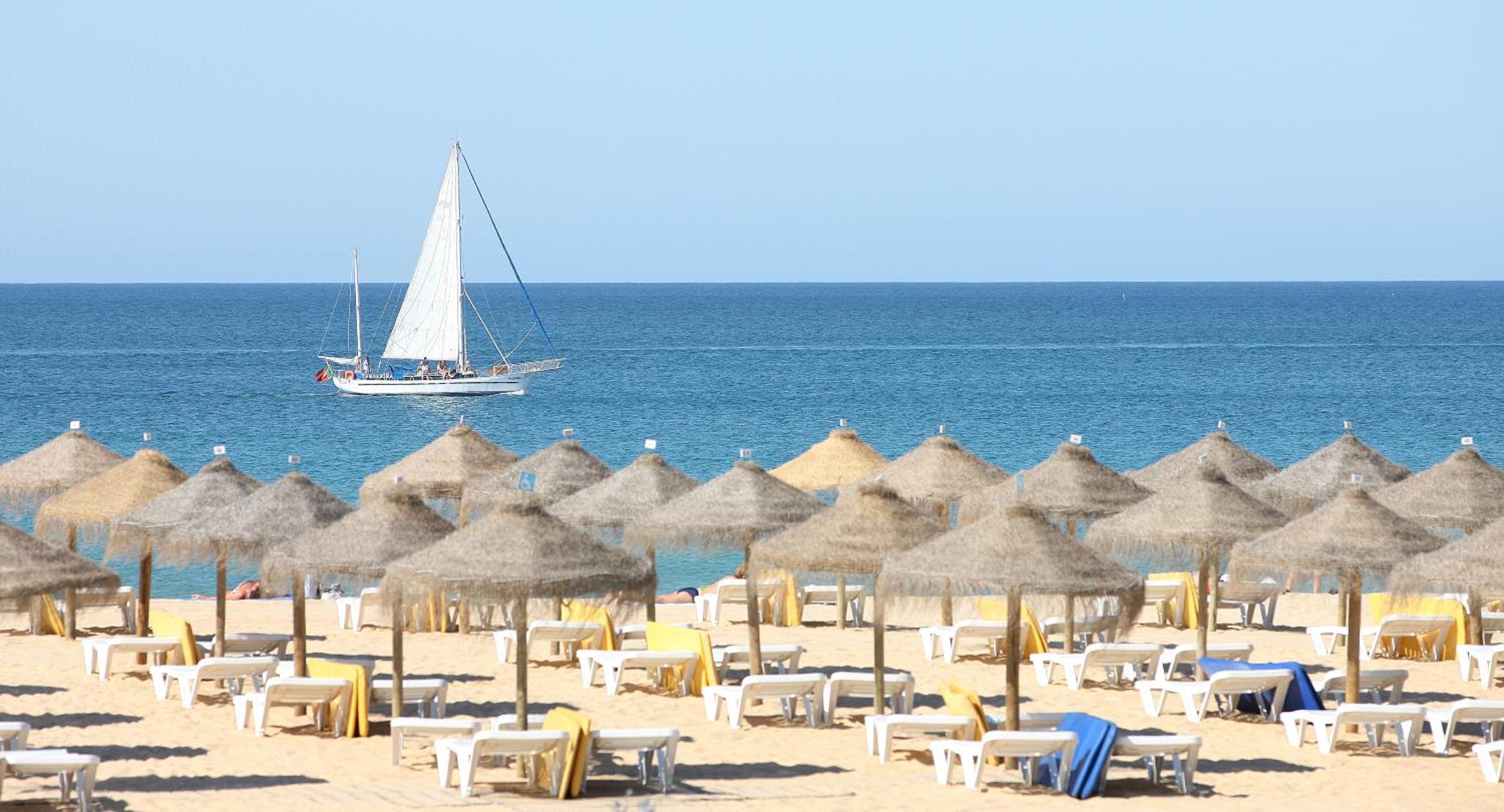 Фото Luna Olympus