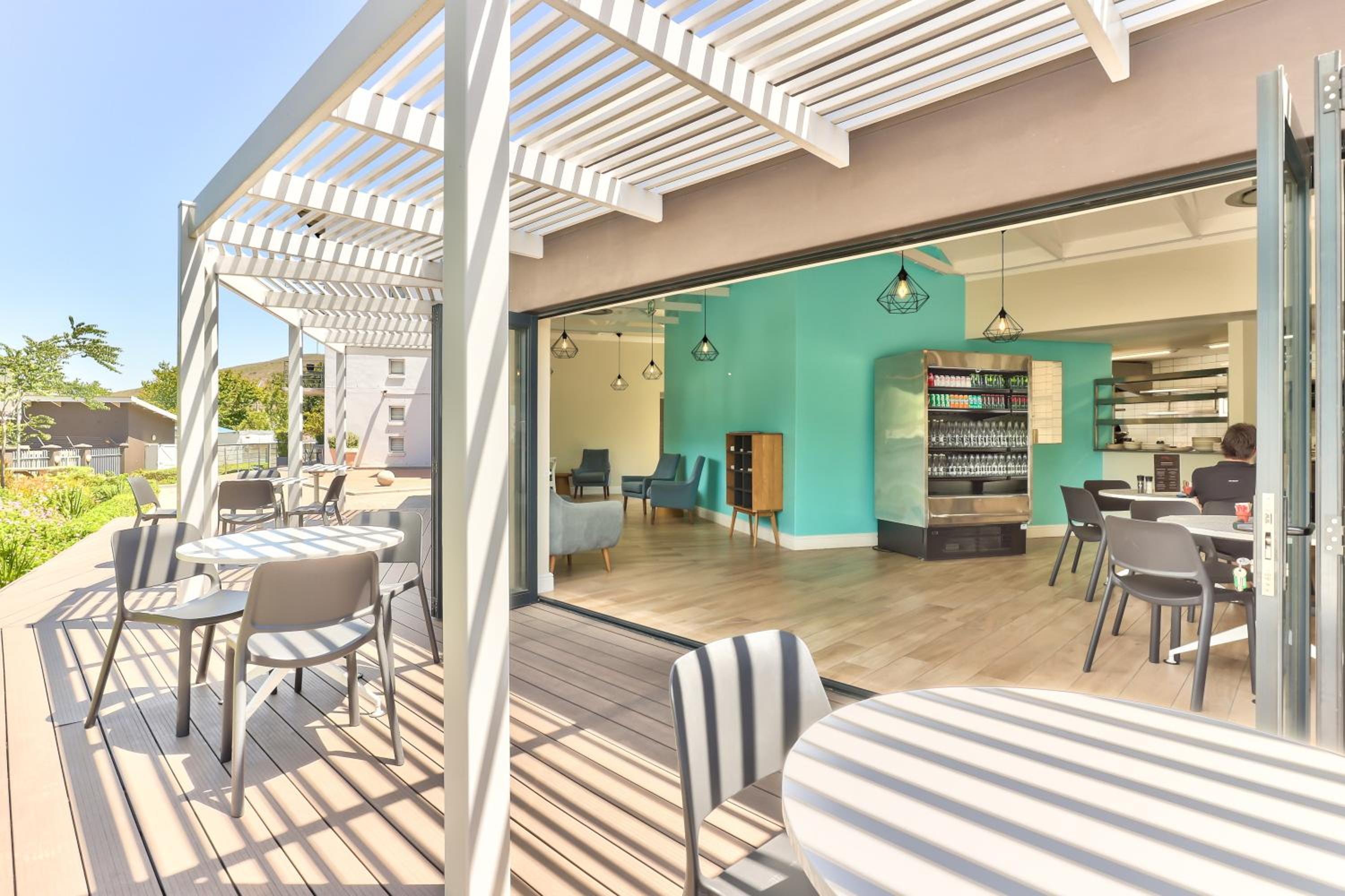 Фото Wink Quiver Tree