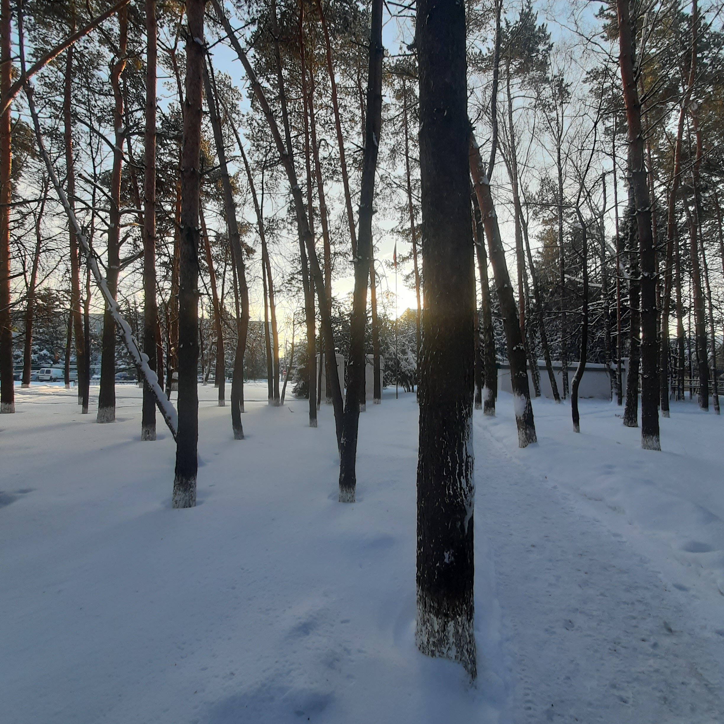 Фото Матвеевская