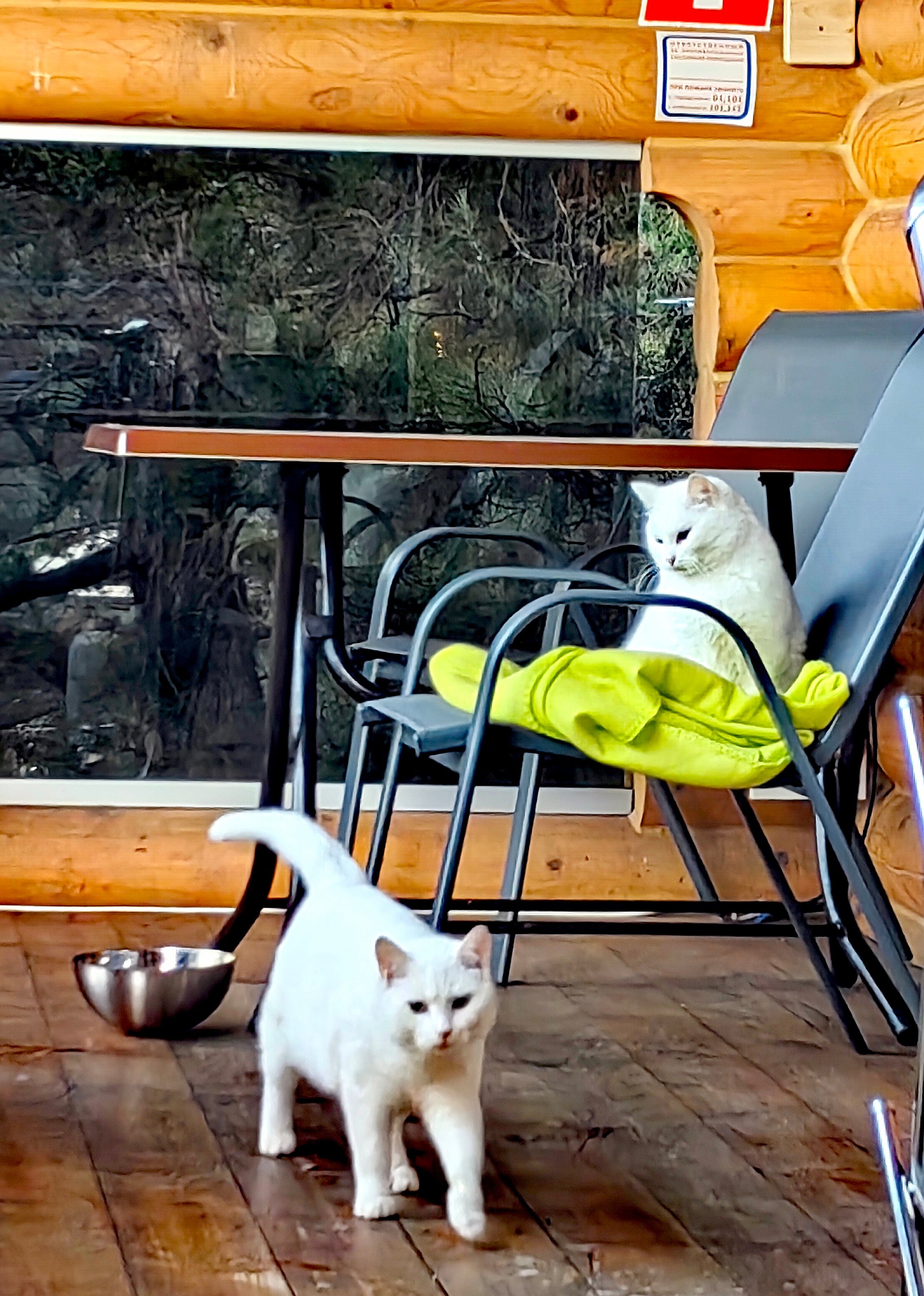 Фото Можжевеловая Роща