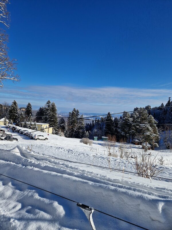 Екатерина З.