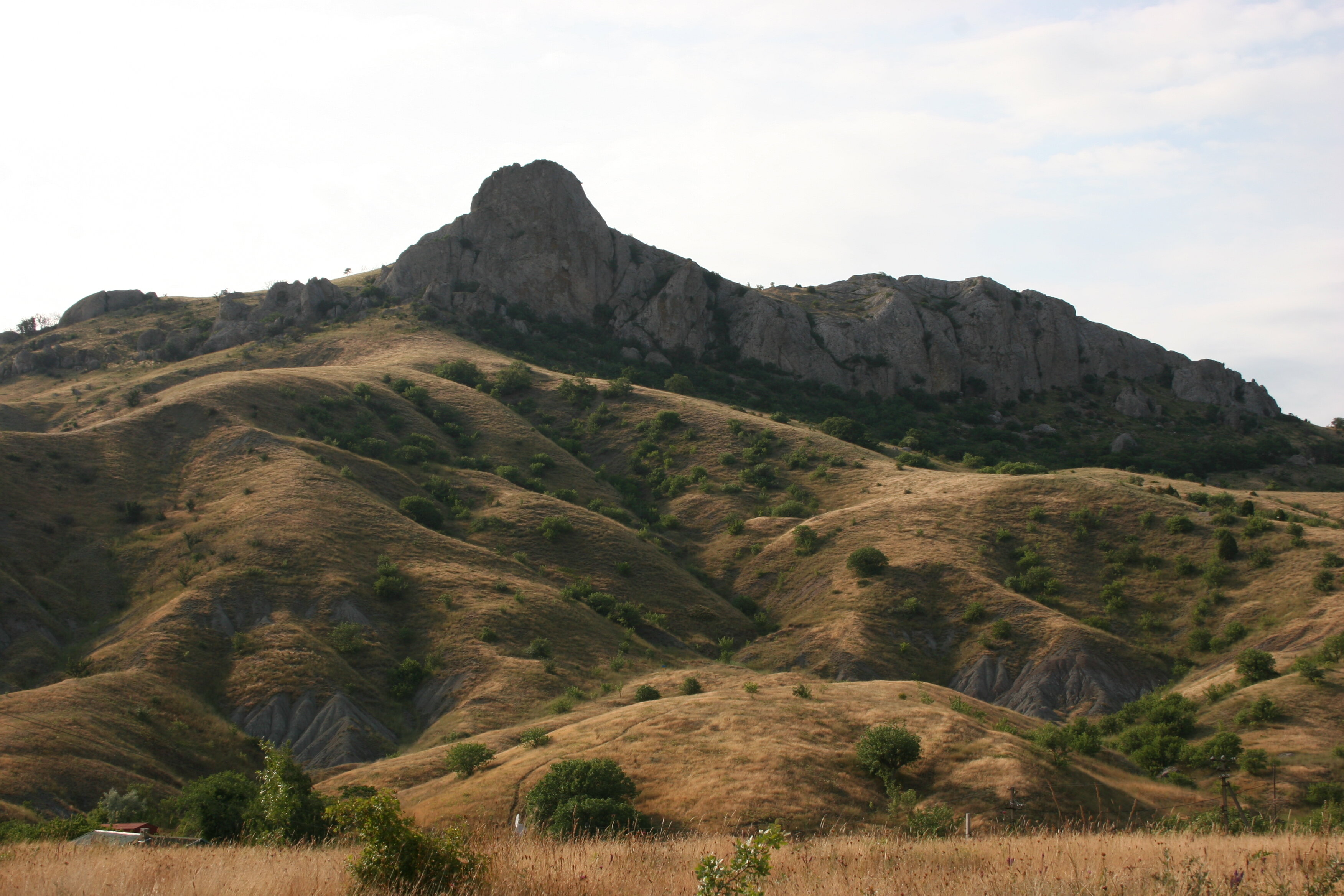 Фото Родина