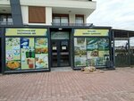 Gastronom Market (Antalya, Muratpasa District, Guzeloba Neighborhood, 2359th Street, 52), grocery