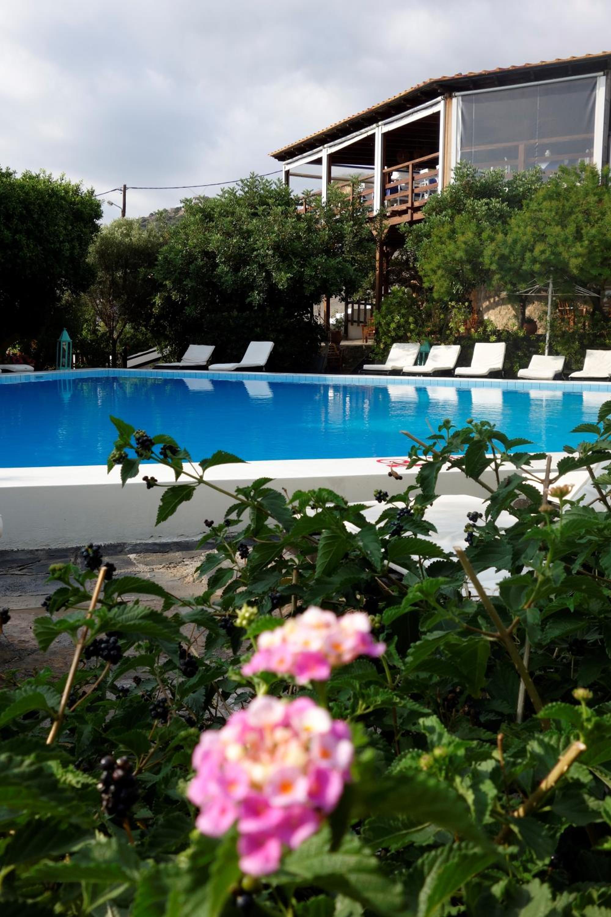 Фото Cretan Village Hotel