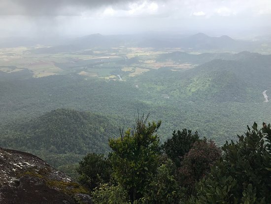 Mountain peak Mount Bartle Frere 1622 meters, Queensland, photo