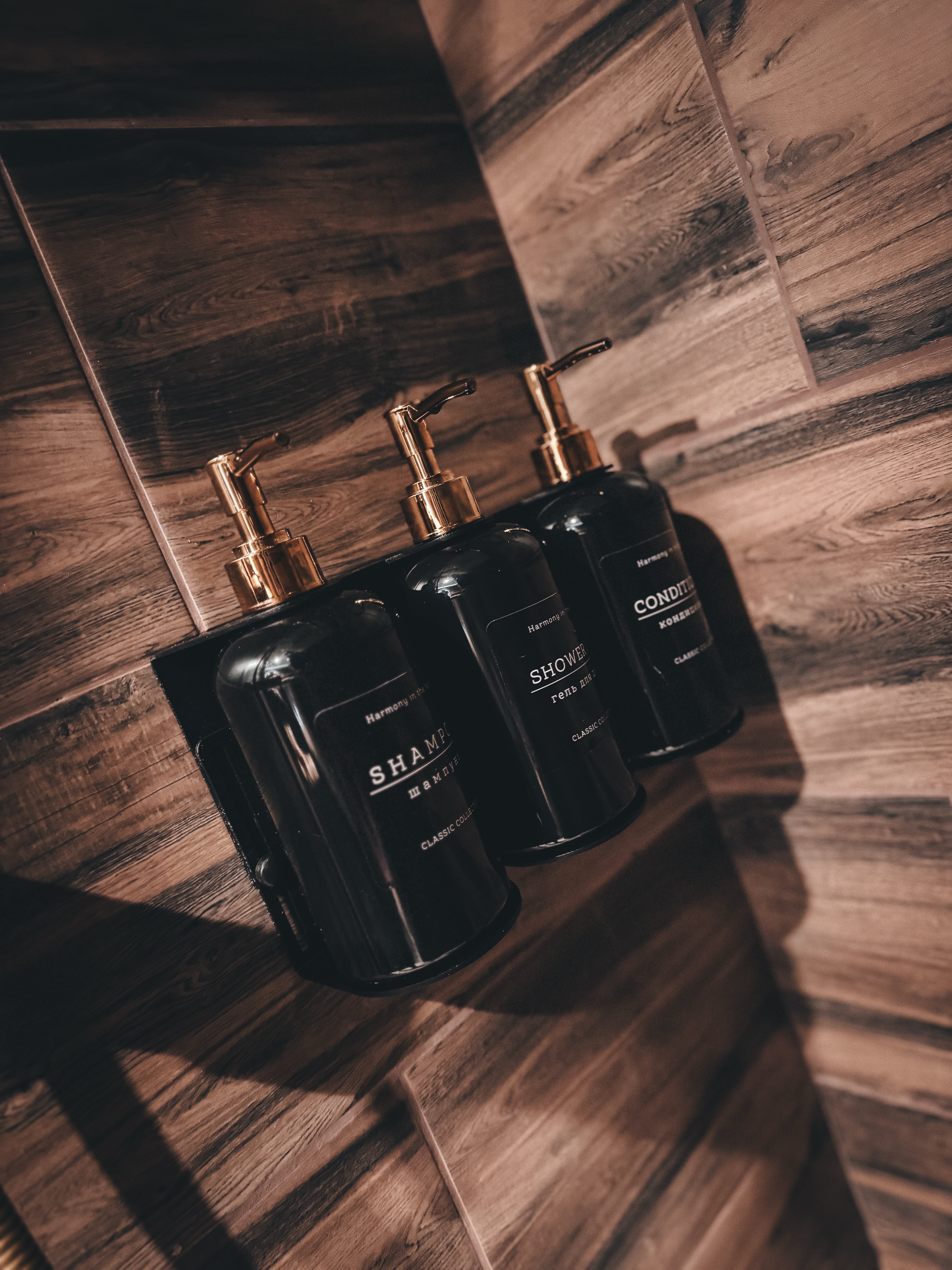 Фото Истина в лесу