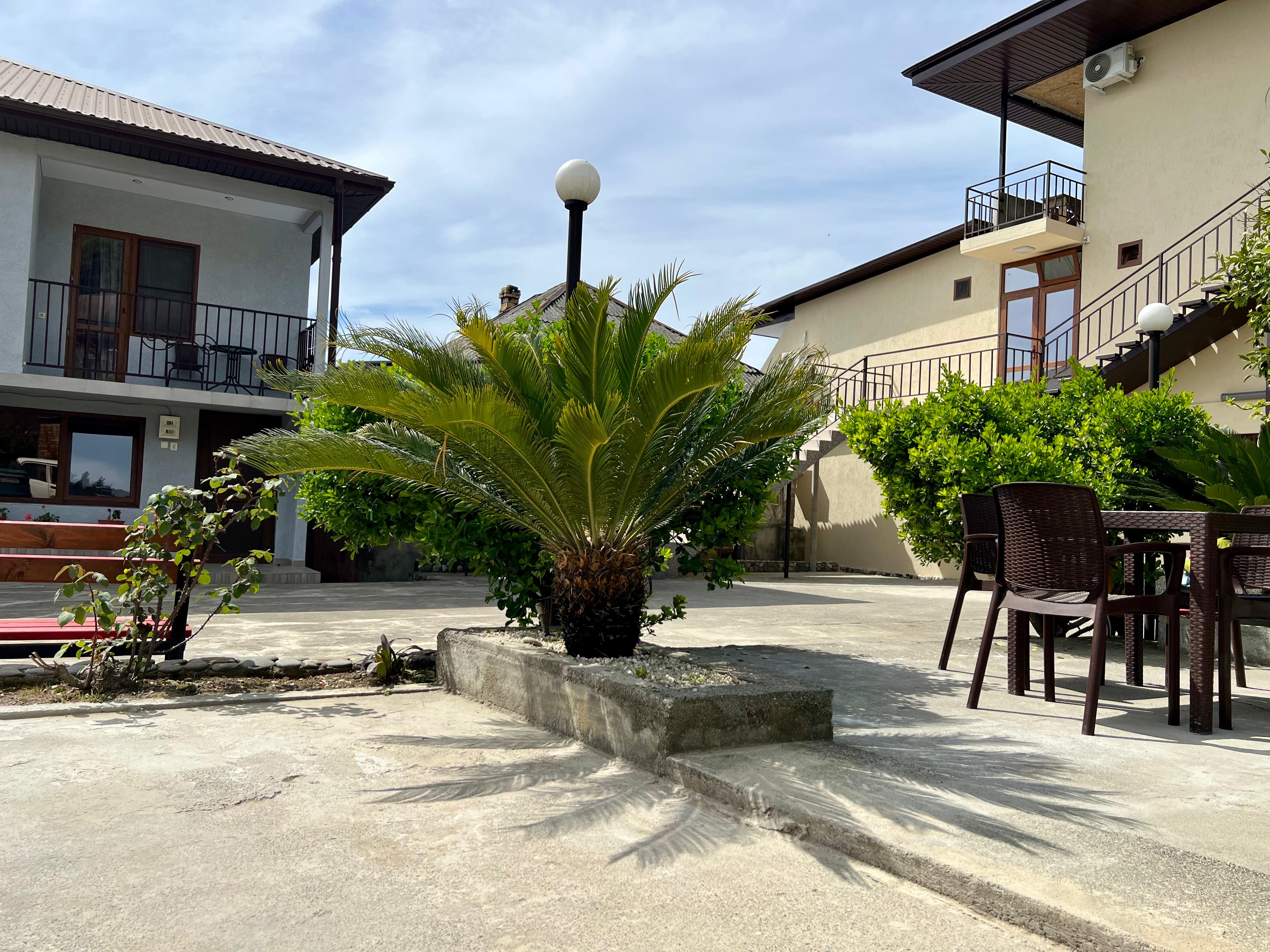 Фото Стрелец