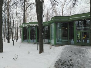 Долголетие по-нижегородски (Нижний Новгород, парк Швейцария), клуб досуга в Нижнем Новгороде