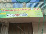 Zk wight diamond fish (Province of Punjab, Rawalpindi, Raja Bazar, Ganj Mandi), fish and seafood