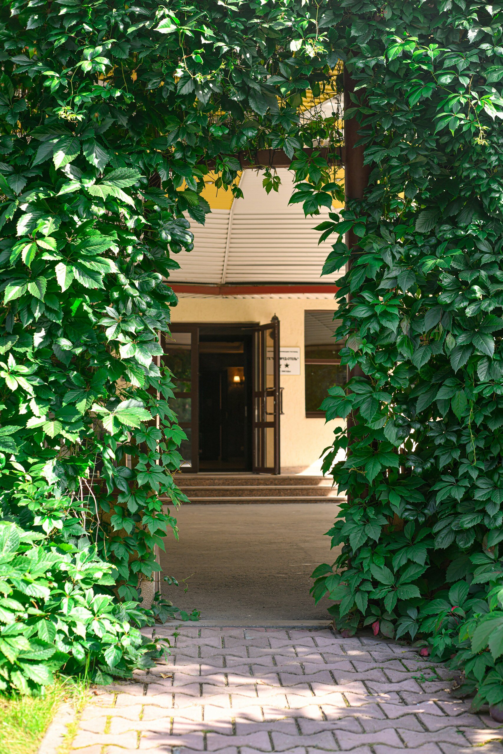 Фото Изумруд