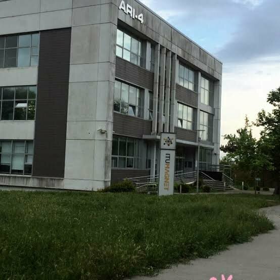 Software companies Wiseback, Istanbul, photo