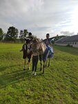 КСК Грация (Vologda Region, Cherepovetskiy rayon, Klimovskoye selskoye poseleniye, derevnya Popovskoye) ، ركوب الخيل