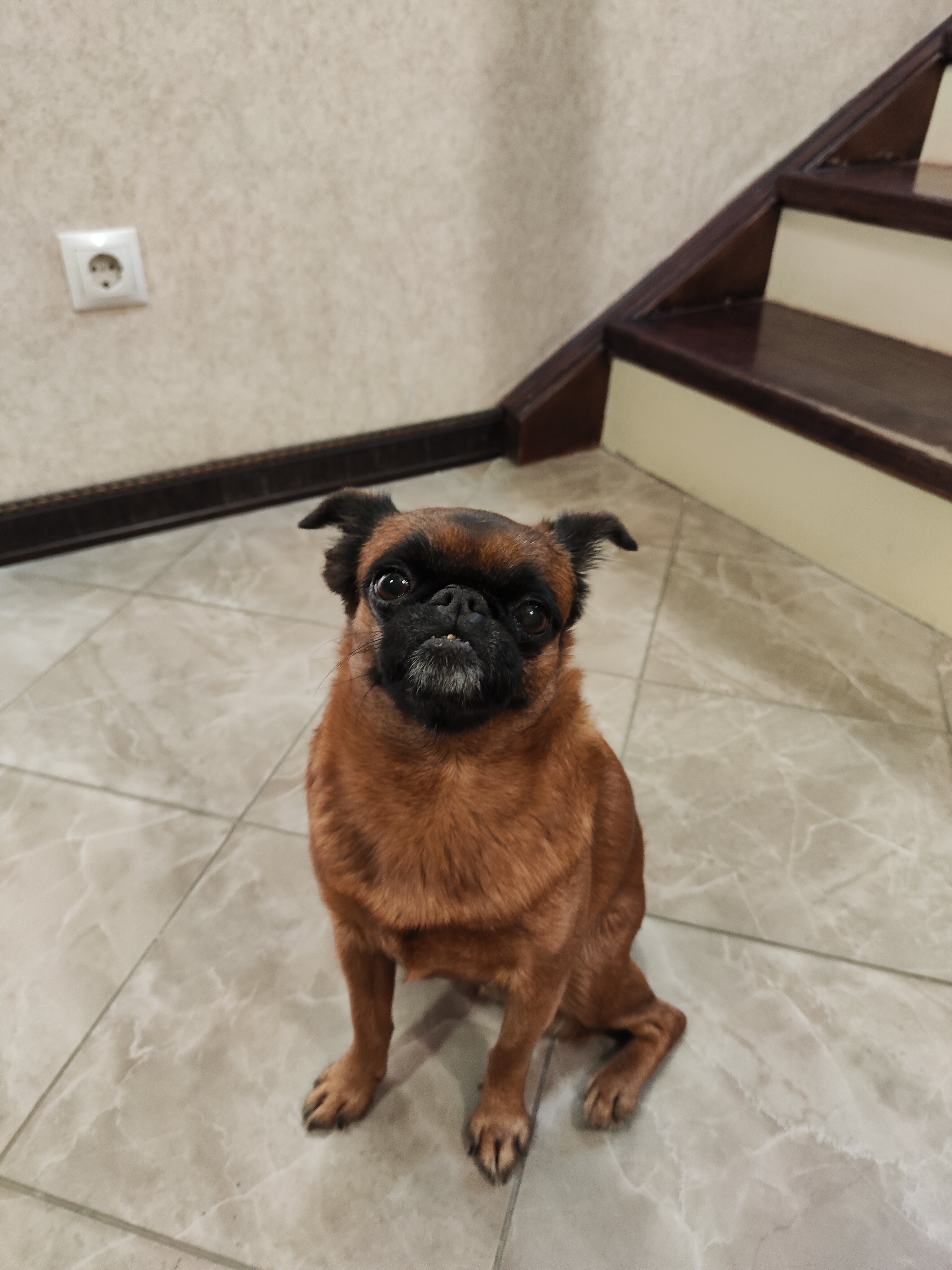 Фото Журавли