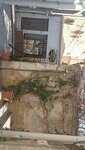 Ekin Dinlenti (Gaziantep, Sahinbey, Ataturk Boulevard, 21A) ، مقهى