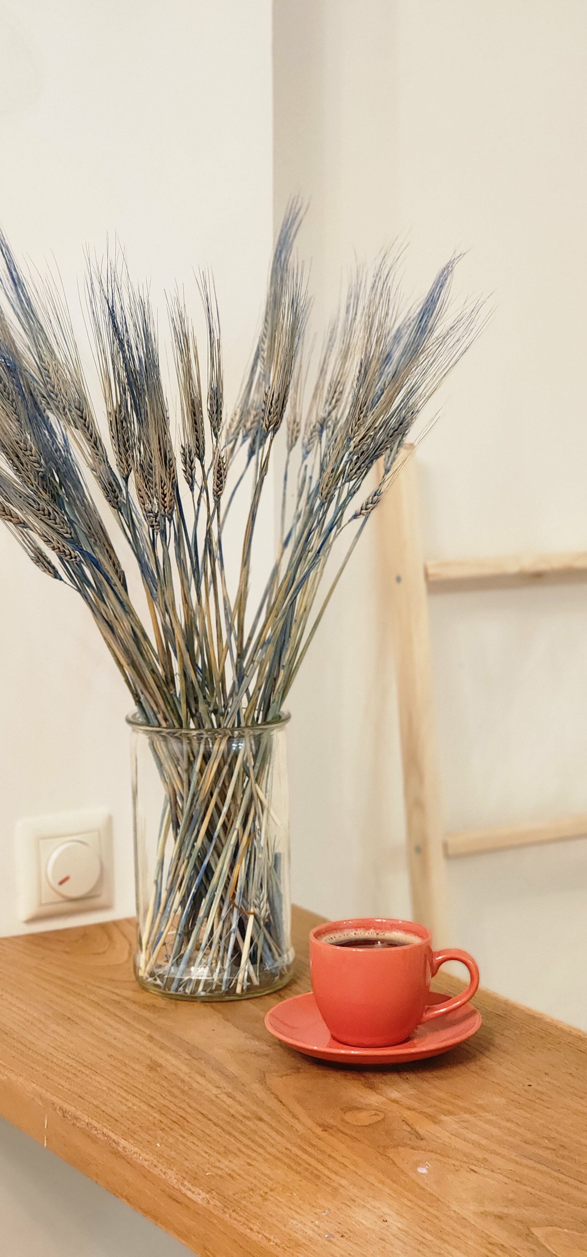 Фото Уютная Орхидея