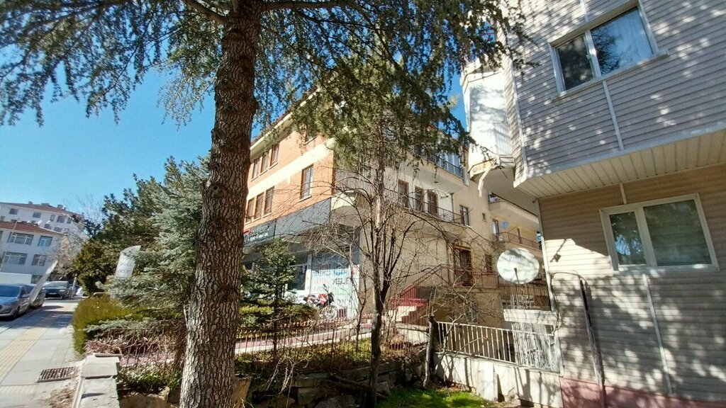 Tax consultants Smmm Fusun Caglayan, Ankara, photo