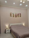 Apartments on Elblongskaya Street (Elblongskaya Street, 11) ، سكن للإيجار اليومي