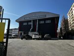 Tofaş Beylikdüzü Basketball Club (İstanbul, Beylikdüzü, Marmara Mah., 212. Sok., 10) ، نادي رياضي، مجموعة